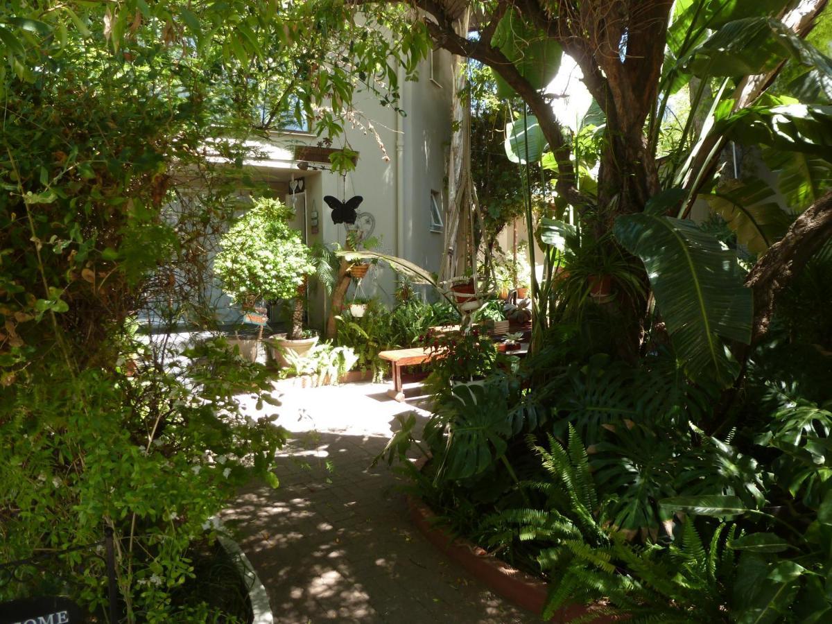 Springbok Apartments Extérieur photo